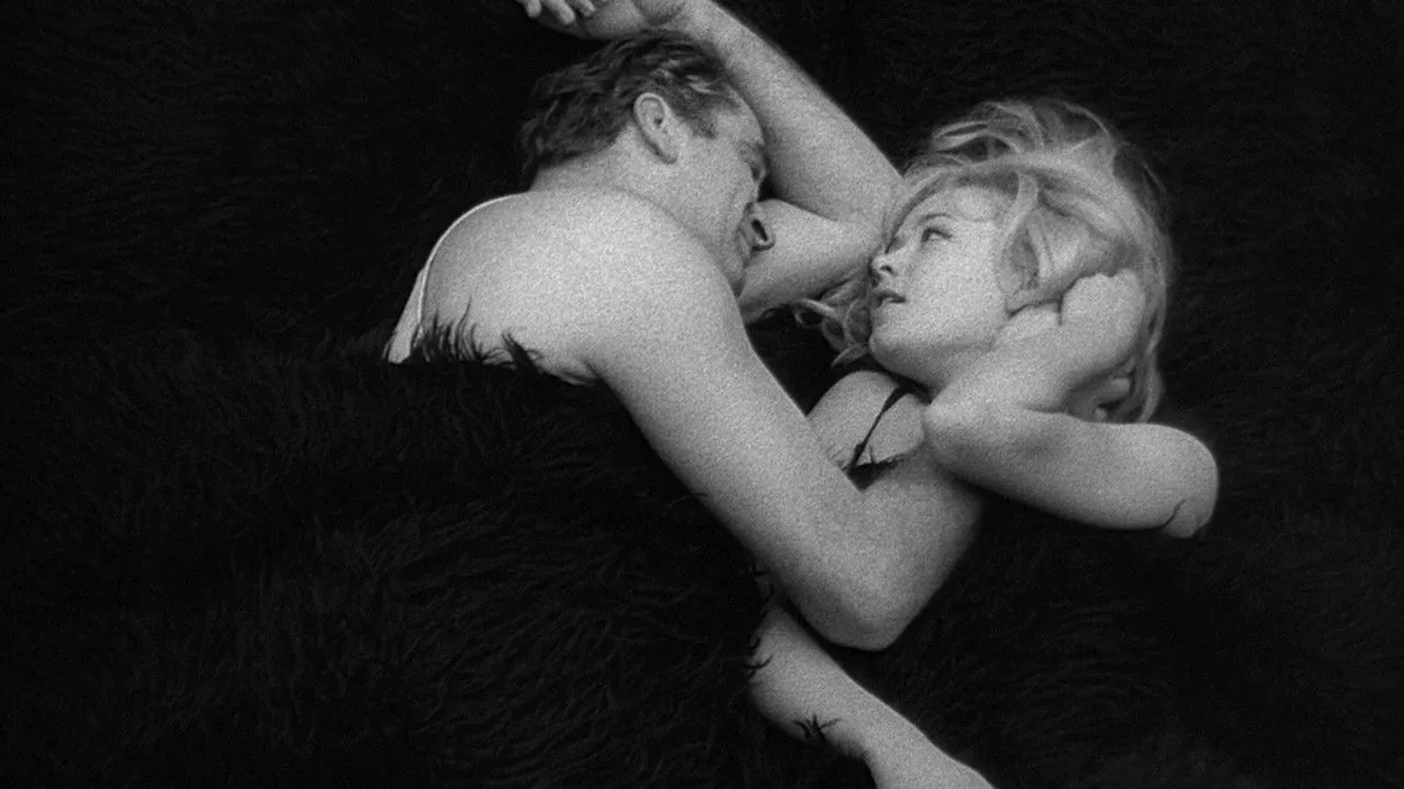 Covek nije tica backdrop