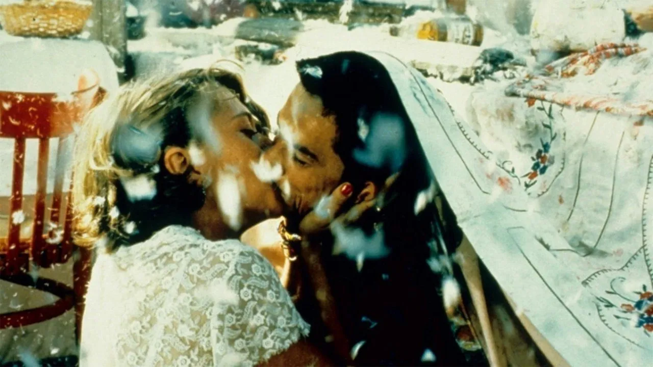 Crna macka, beli macor backdrop