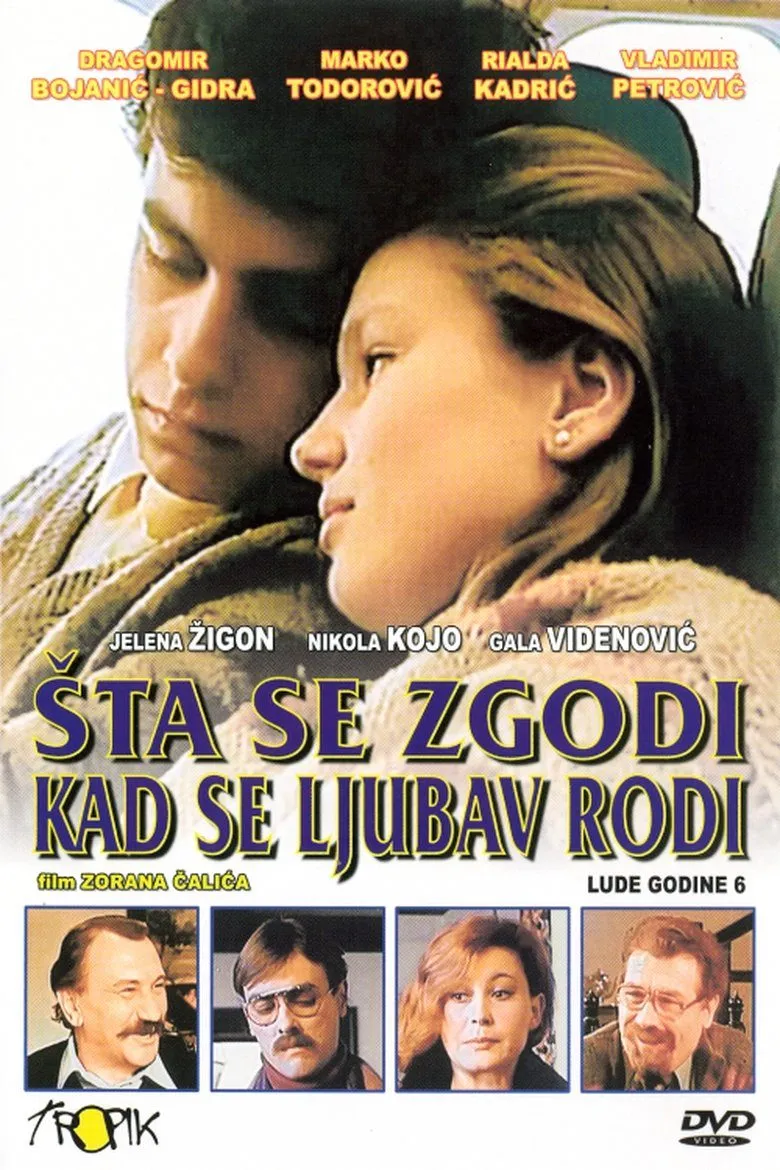 Lude Godine 6 - Sta se zgodi kad se ljubav rodi
