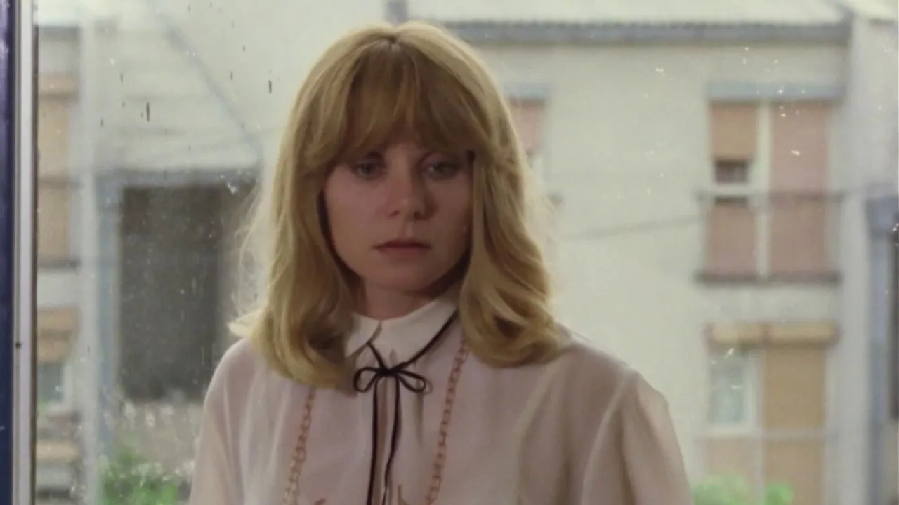 Majstori, majstori backdrop