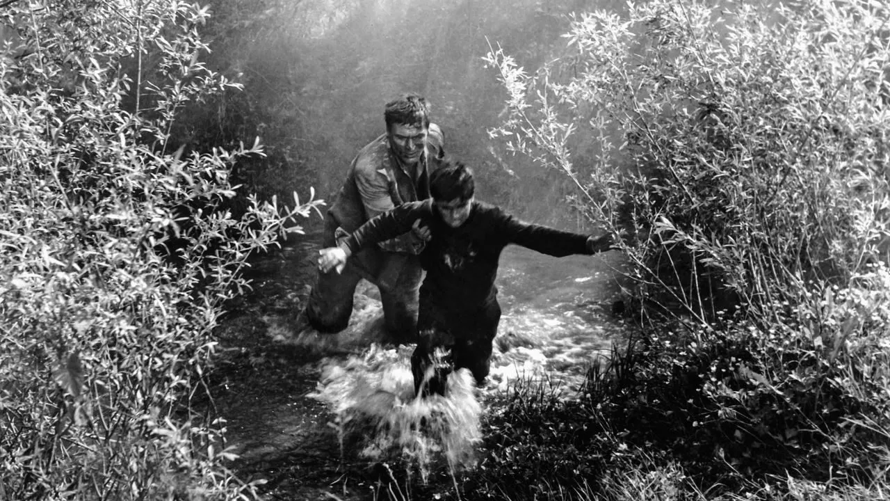 Ne okreci se sine! backdrop