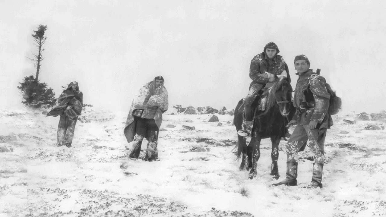 Pogled u zjenicu sunca backdrop