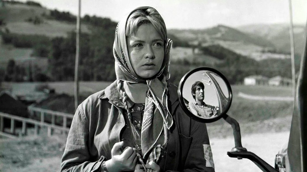 Prekobrojna backdrop