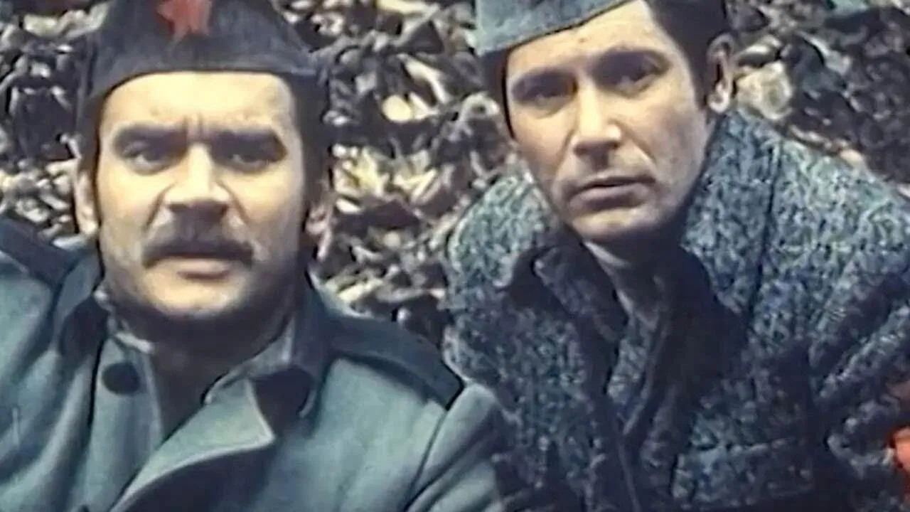 U gori raste zelen bor backdrop